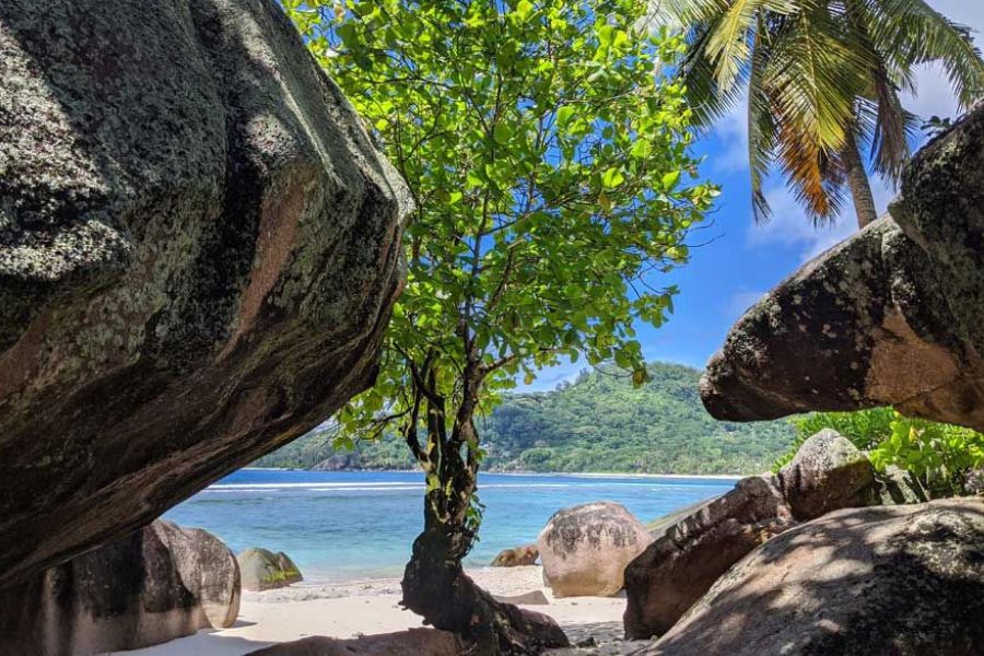Large granite boulders framing a tree on a tropical beach with blue sea