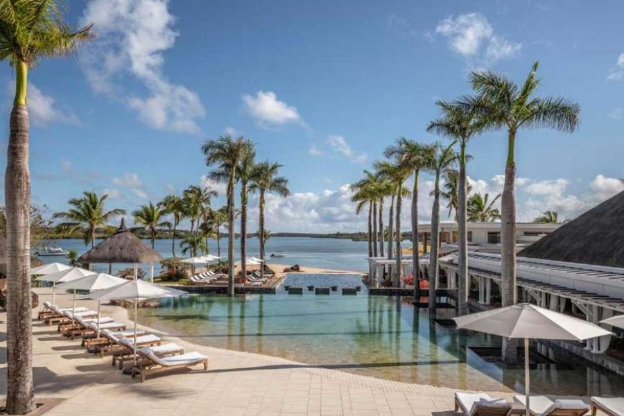 Luxury beach resort infinity pool surrounded by tall palm trees and sunbeds