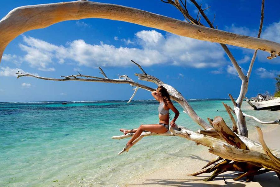 Woman sitting on driftwood branch on a tropical beach with clear turquoise water