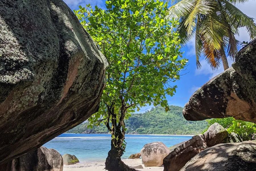 Granite boulders frame a palm-shaded view of a Seychelles beach, with forested hills in the distance
