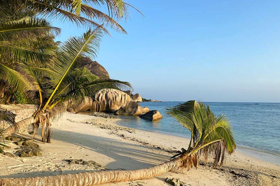 Granite boulders and a leaning palm tree on a Seychelles beach, in the style of La Digue's Anse Source d'Argent