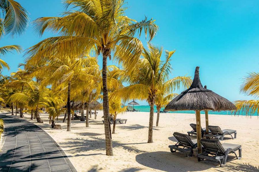 Beach loungers and palm trees, Mauritius