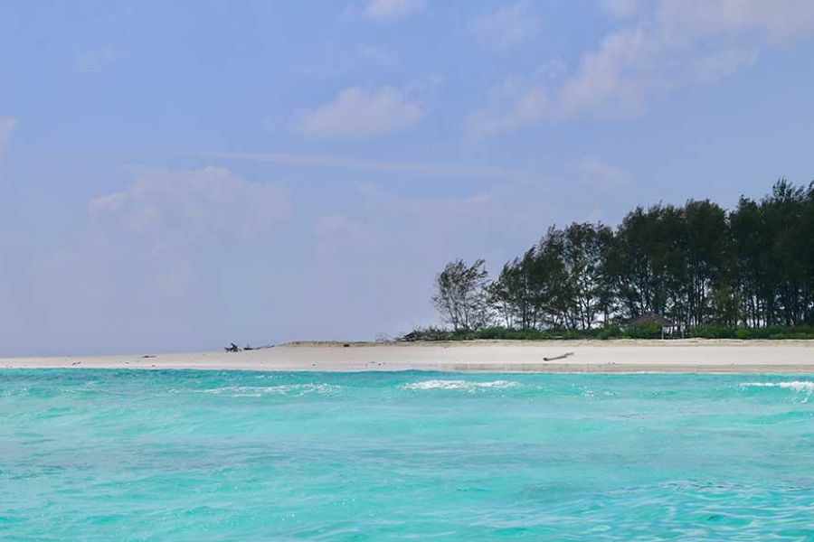 Beach and turquoise water in Zanzibar