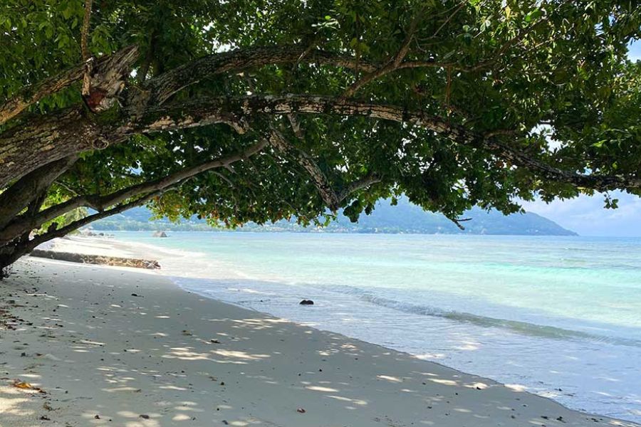 Shaded beach at Beau Vallon, Seychelles