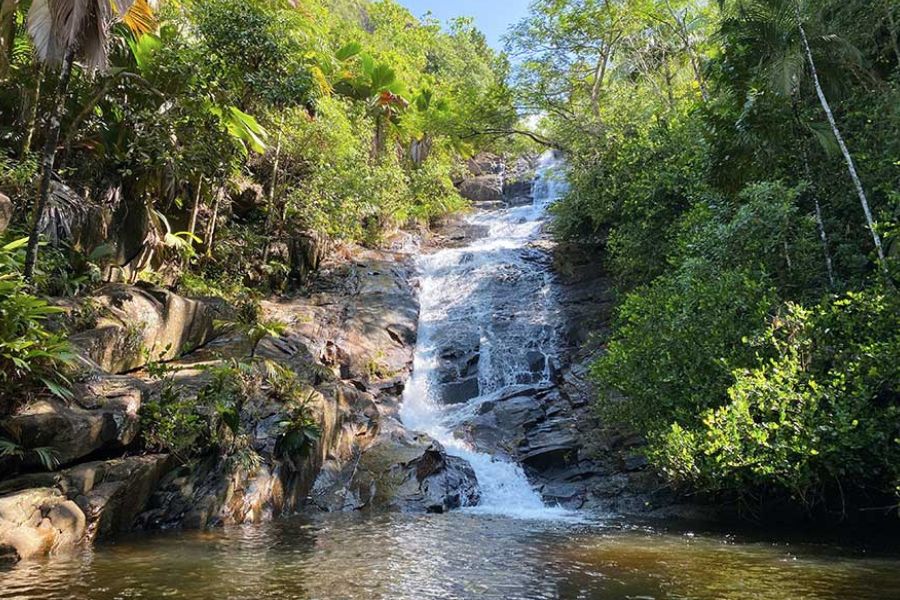 Waterfall in the forest near Victoria, Seychelles