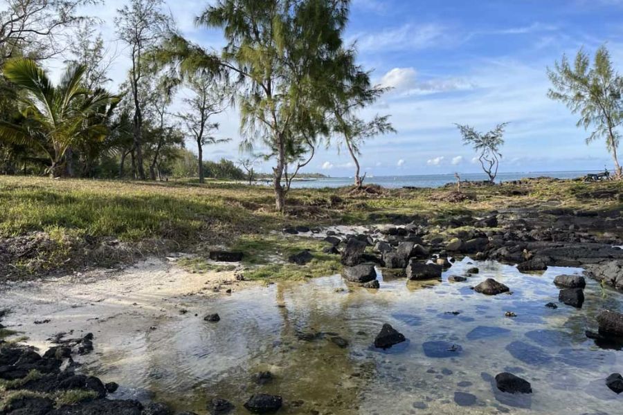 Rocky tidal pools at La Cambuse Beach, Mauritius
