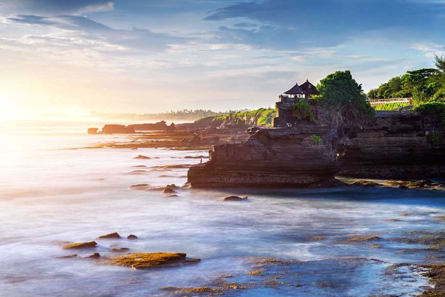 Rice terraces and tropical landscape in Bali