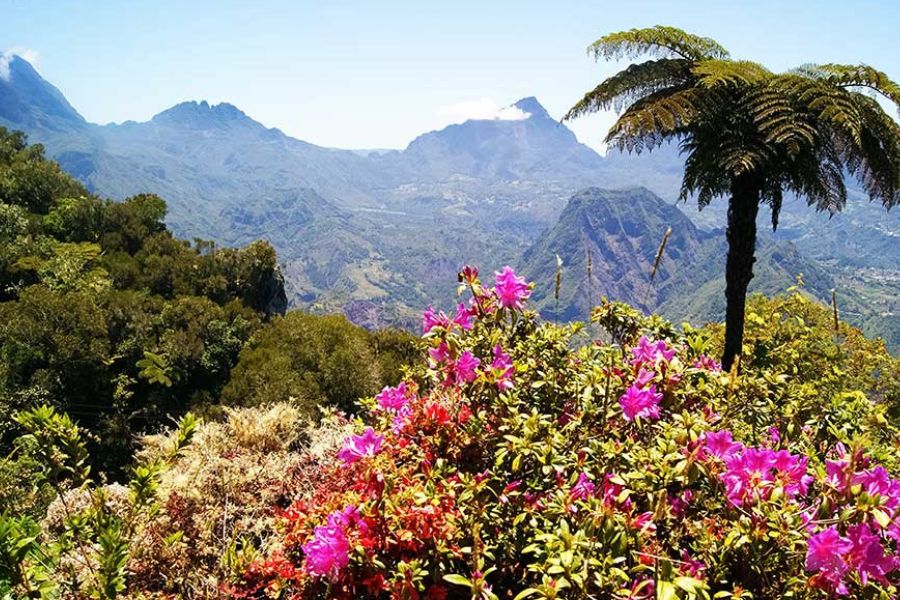 Réunion Island's volcanic coastline and beaches