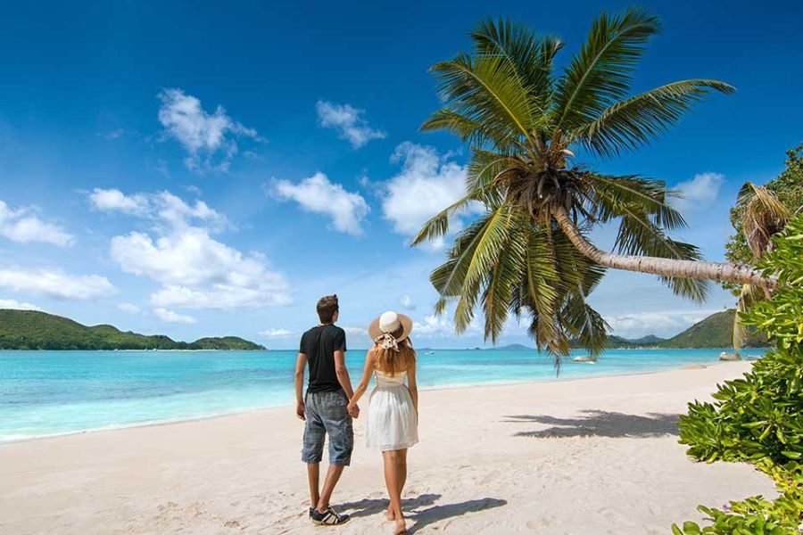 Couple holding hands on a white sand beach under a palm tree looking at turquoise ocean