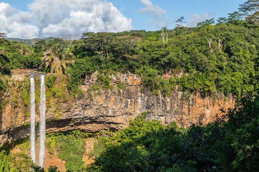 Hiking trail through Black River Gorges National Park, Mauritius