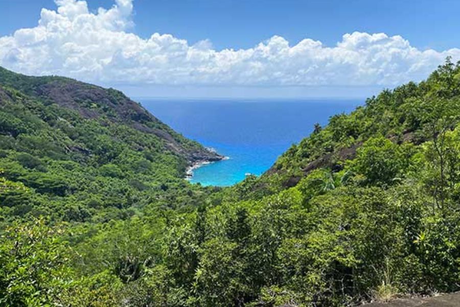 Aerial view of Moyenne Island's forested hillside and turquoise bay, Seychelles