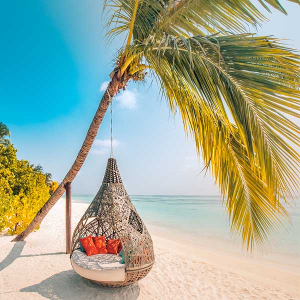 Woven daybed hanging from a palm tree on a white sand beach beside turquoise water