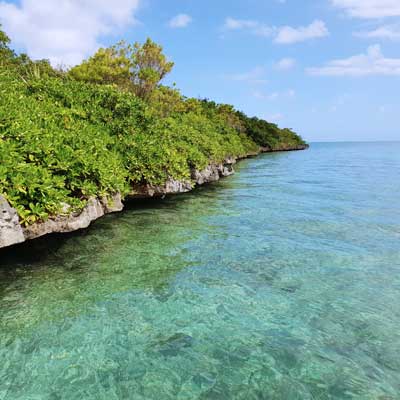 Isle aux Aigrettes (Egret Island)
