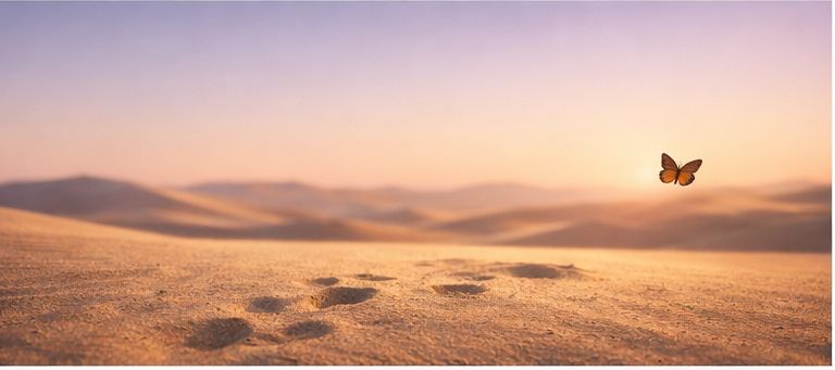 PhiloLife Coaching,[object Object]