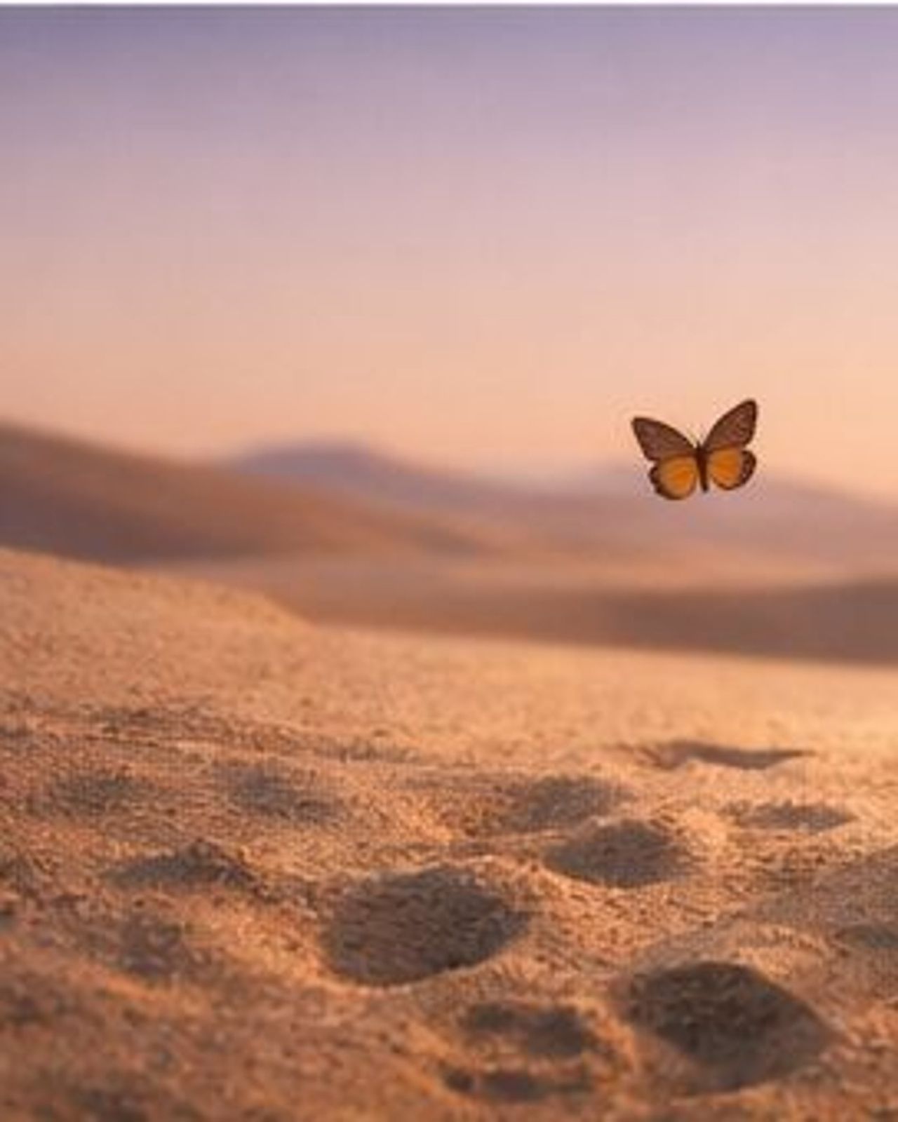 PhiloLife Coaching,[object Object]