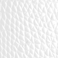 Cowhide Leather texture