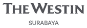 logo-2