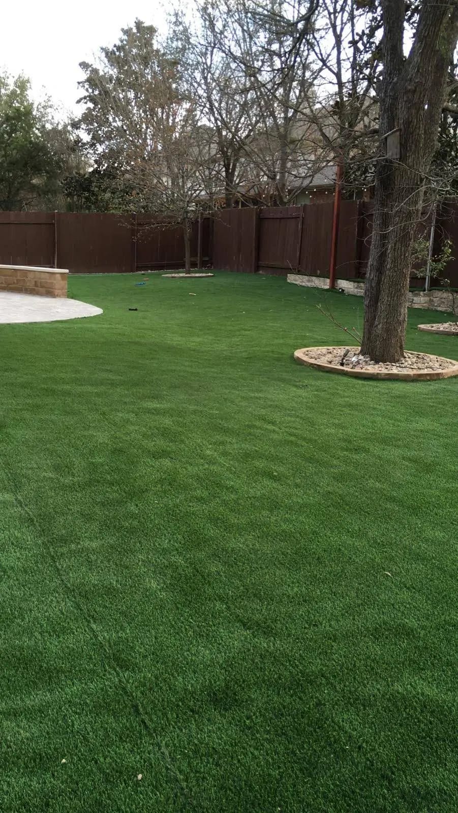 Artificial Grass 1