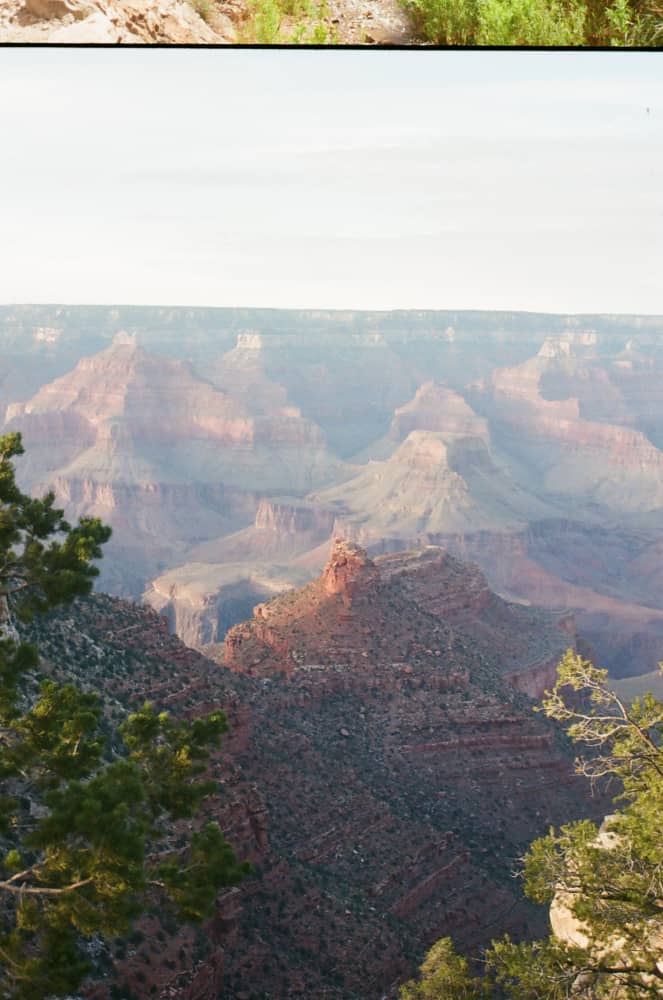 film/0002-0002115900/000211590001_nsvmvh