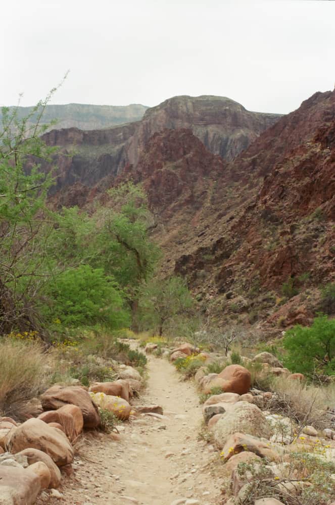 film/0002-0002115900/000211590008_wgwryk