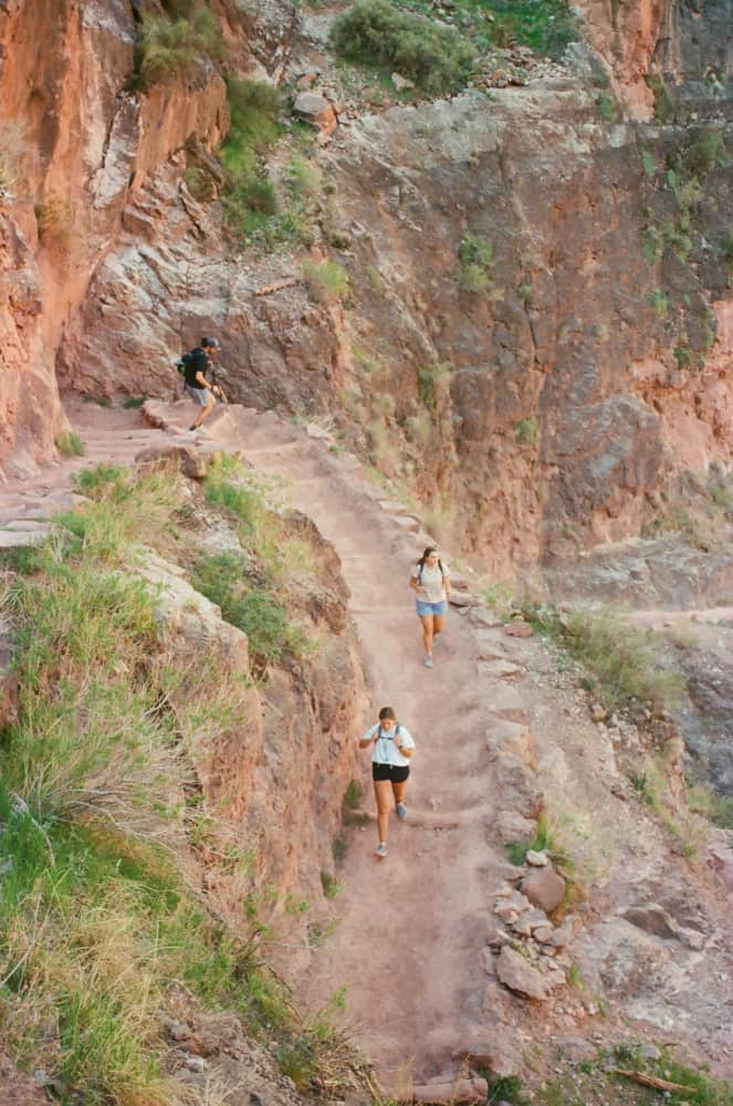 film/0002-0002115900/000211590019_esnevs