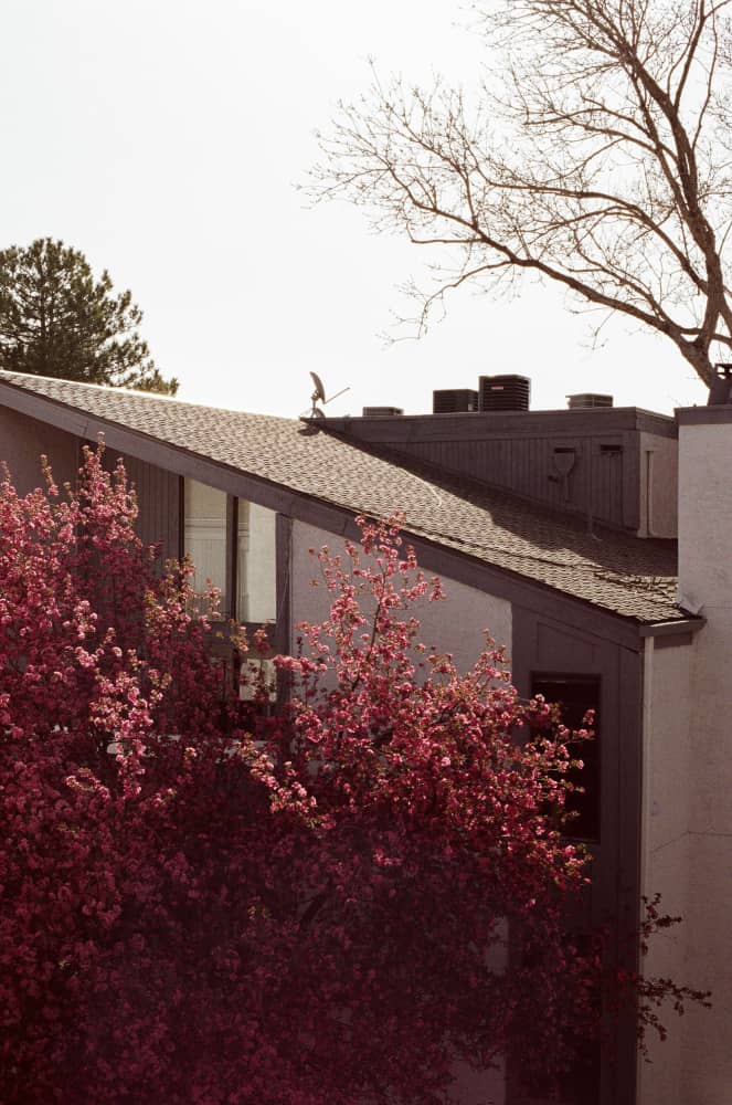 film/0003-0000090300/000009030038_dlhqcr