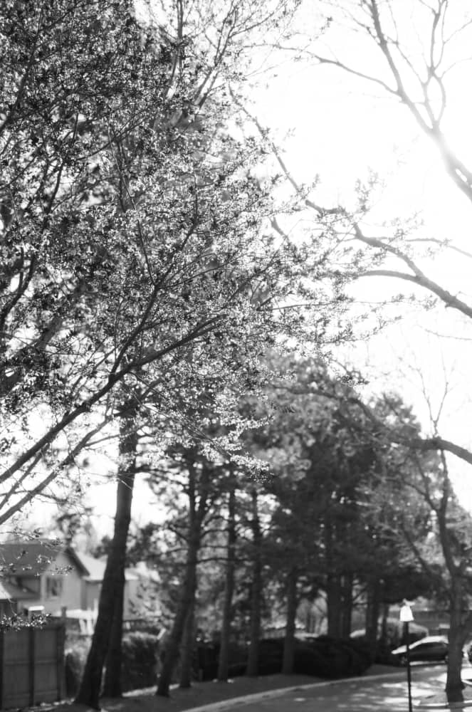 film/0004-0004649000/000464900025_uwauj1