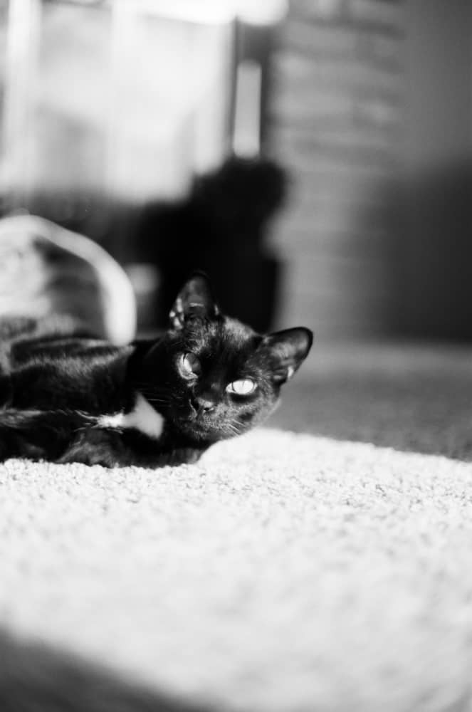 film/0004-0004649000/000464900026_f8rxkb