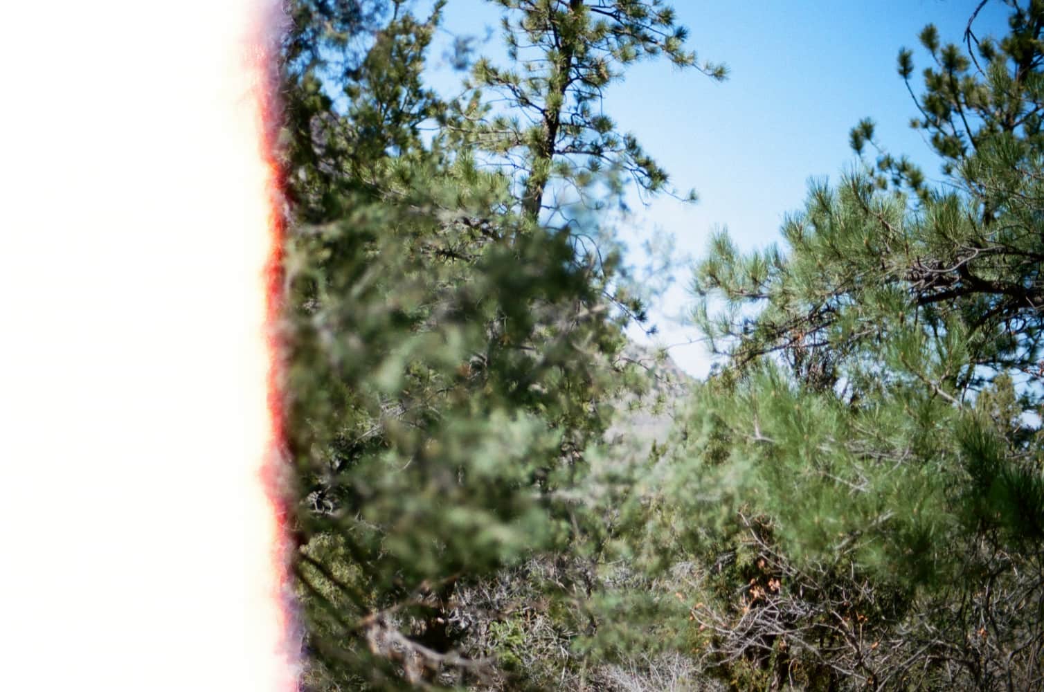 film/0005-0005646200/000564620001_kuhvqw