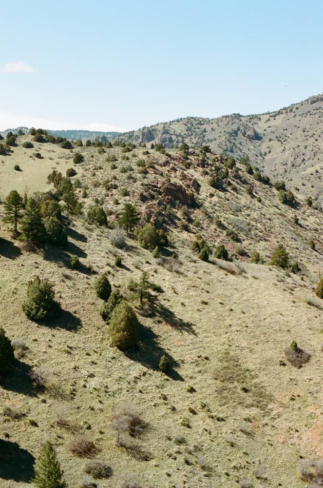 film/0005-0005646200/000564620005_ncjmwu