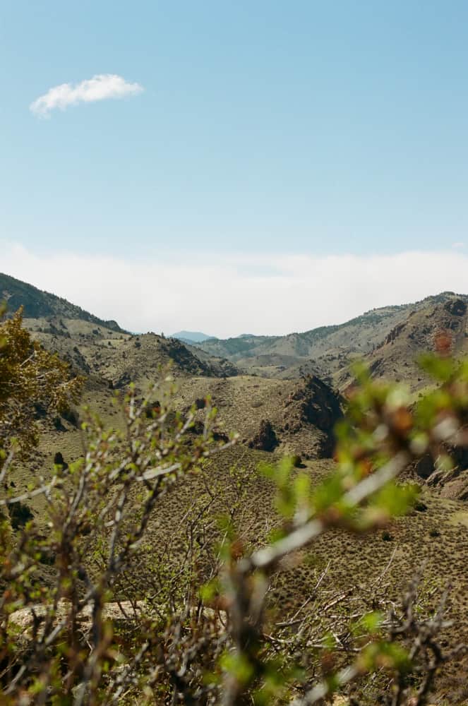 film/0005-0005646200/000564620010_megcy7