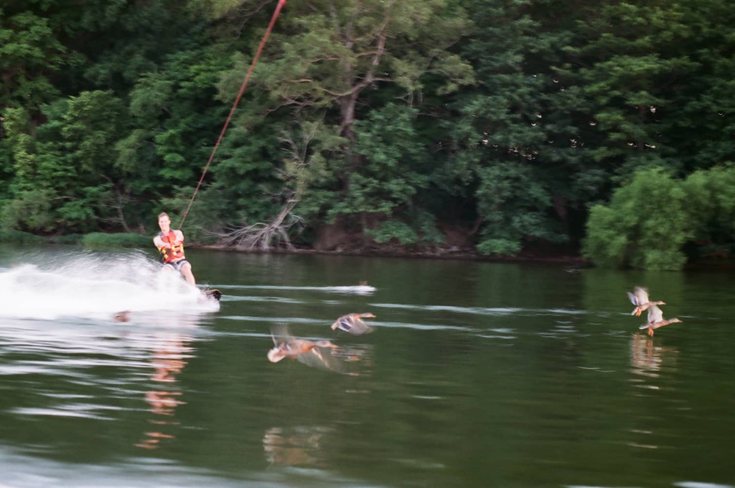 film/0007-0002721900/000272190005_vygqcl