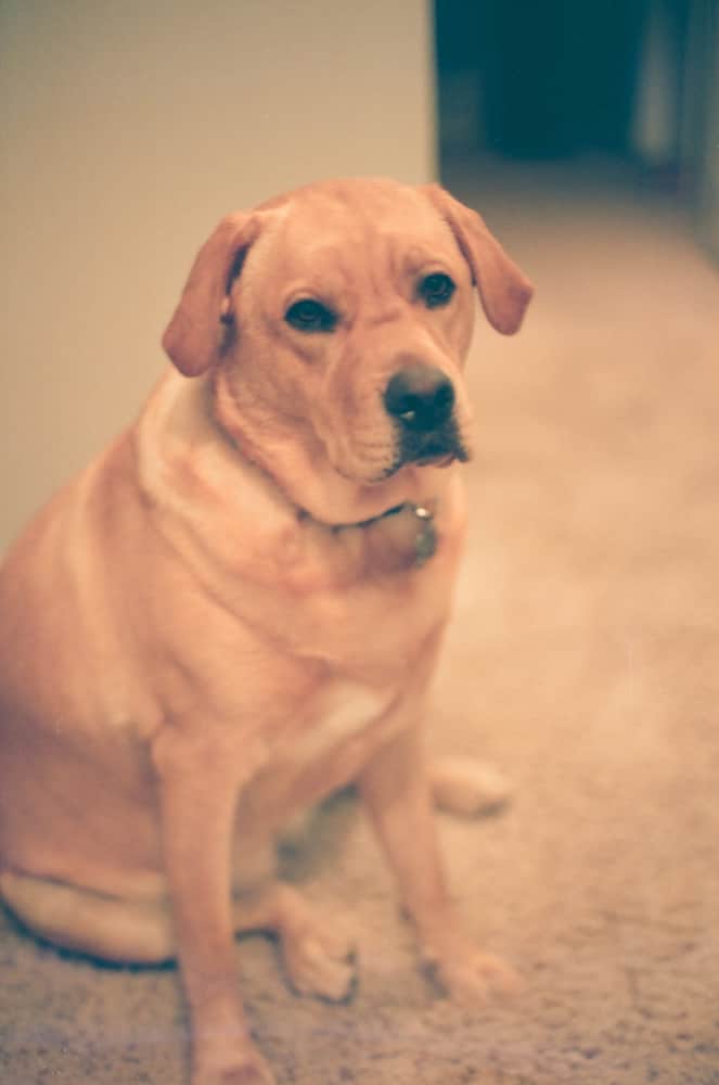 film/0008-0002722100/000272210001_rfnksi