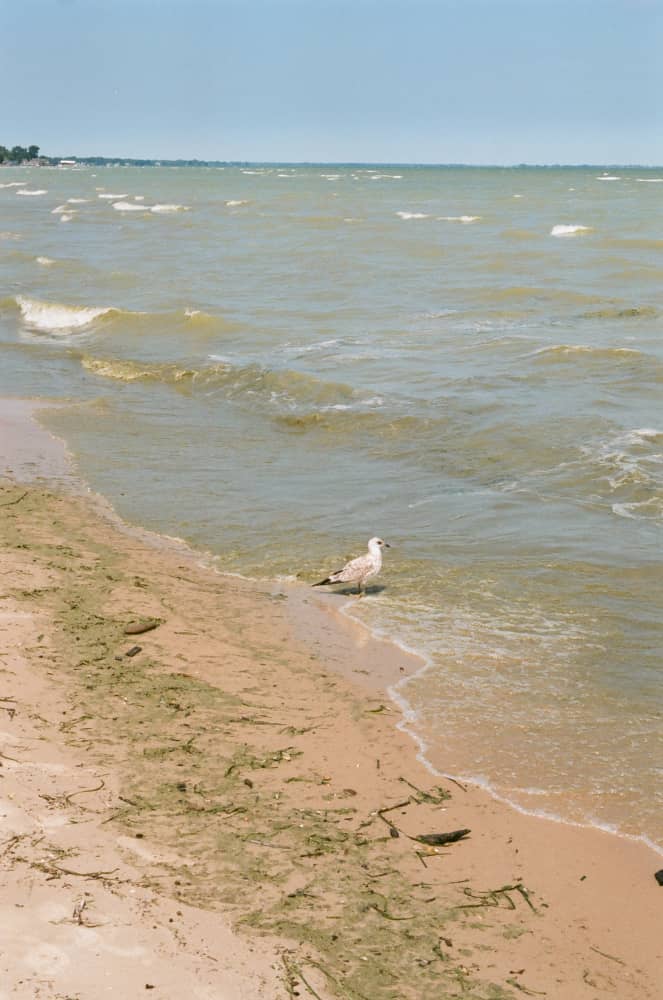 film/0009-0002722000/000272200027_wdrimg