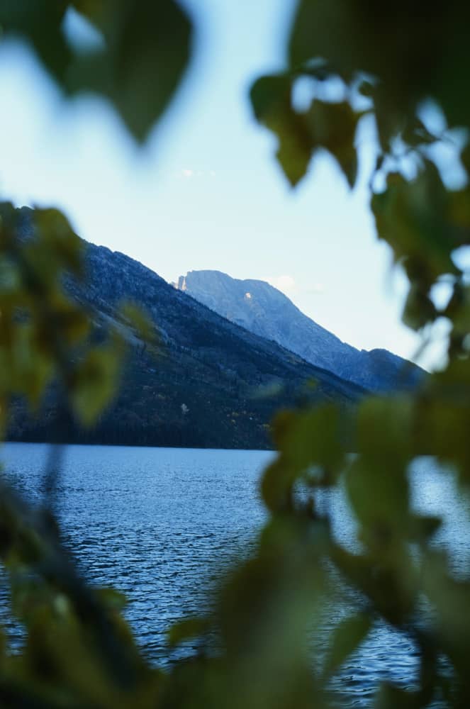 film/0012-00007651700/000765170004_e8k3q8