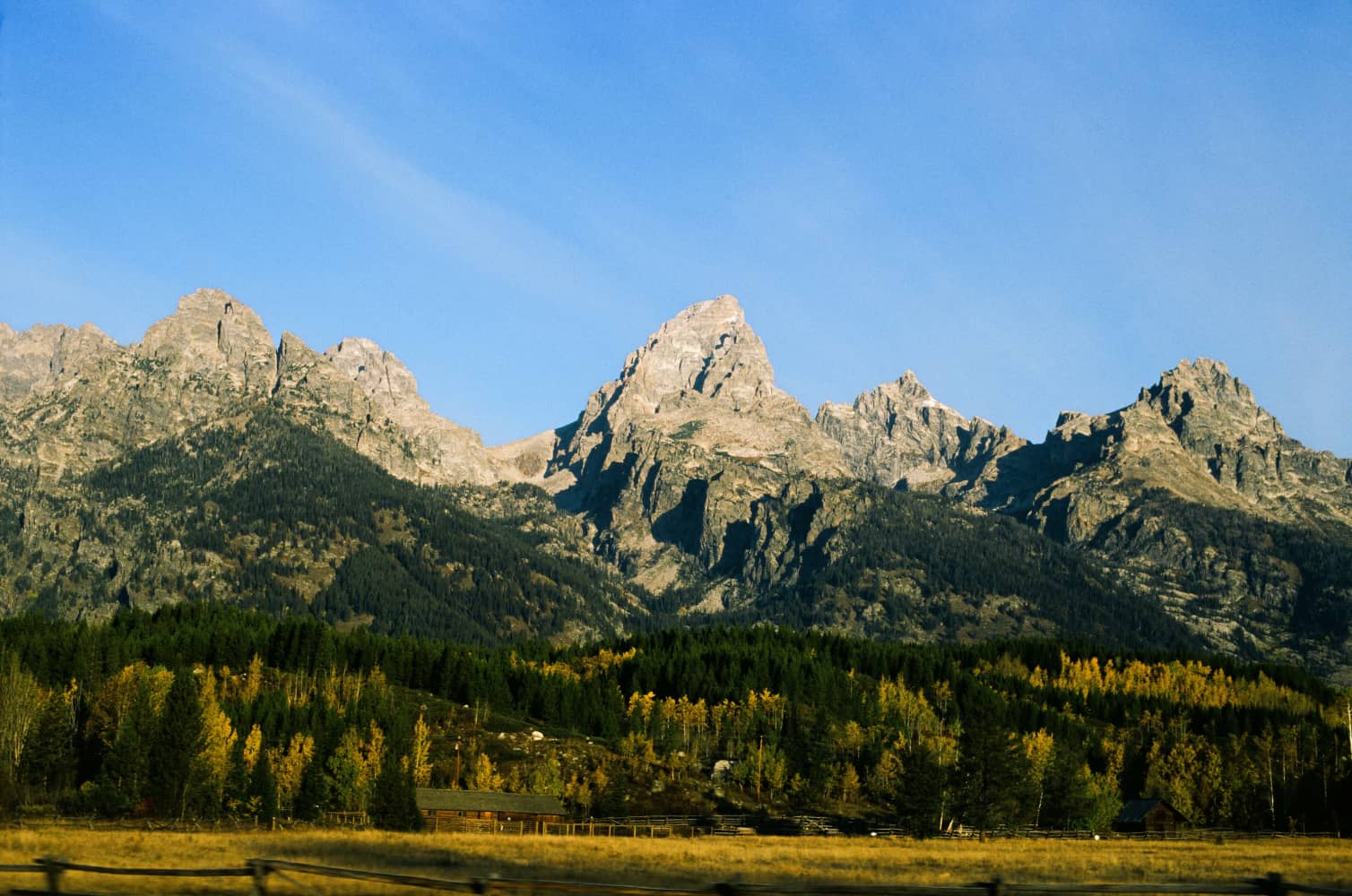 film/0012-00007651700/000765170014__1_vhtqef