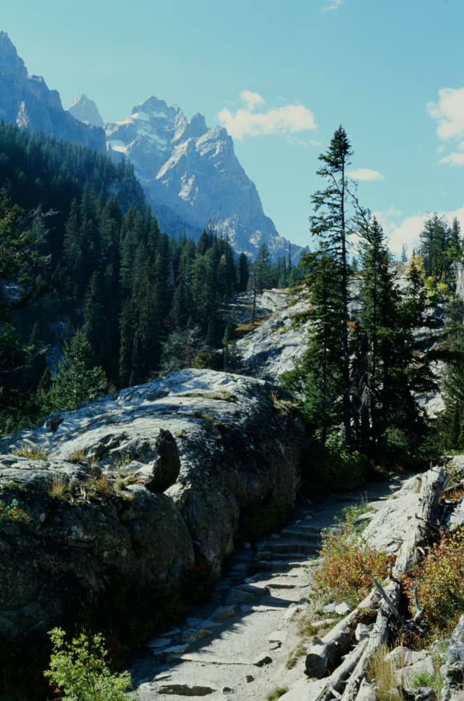 film/0012-00007651700/000765170019_wsiji8