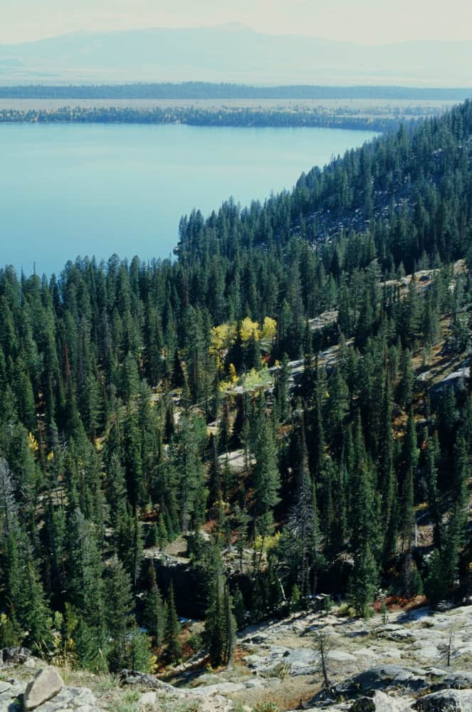 film/0012-00007651700/000765170020_ln3qsr