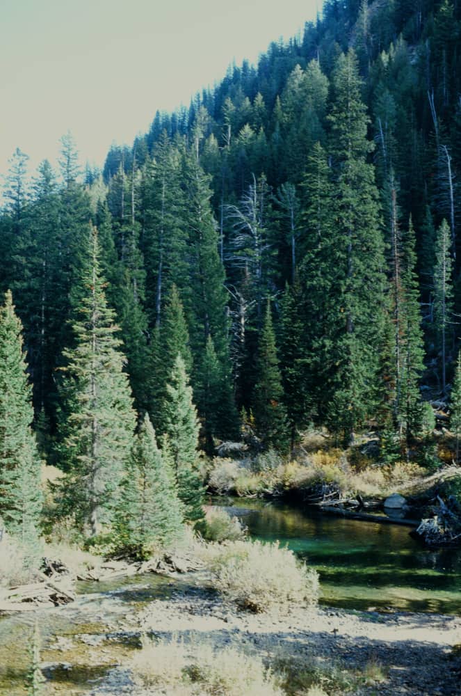 film/0012-00007651700/000765170022_dsw0lu