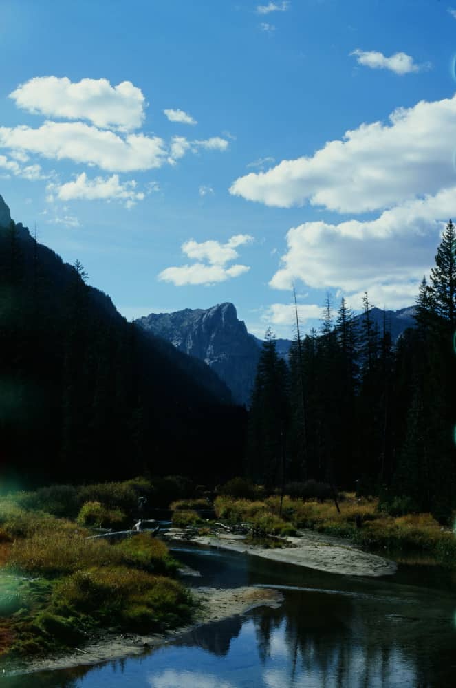 film/0012-00007651700/000765170026_caelat