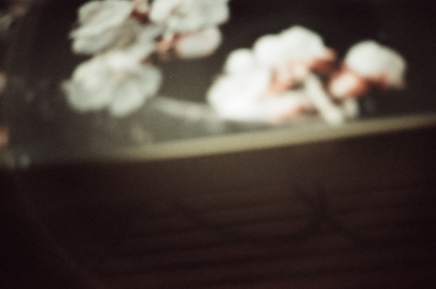 film/0014-0007407600/000740760002_vxkgkc