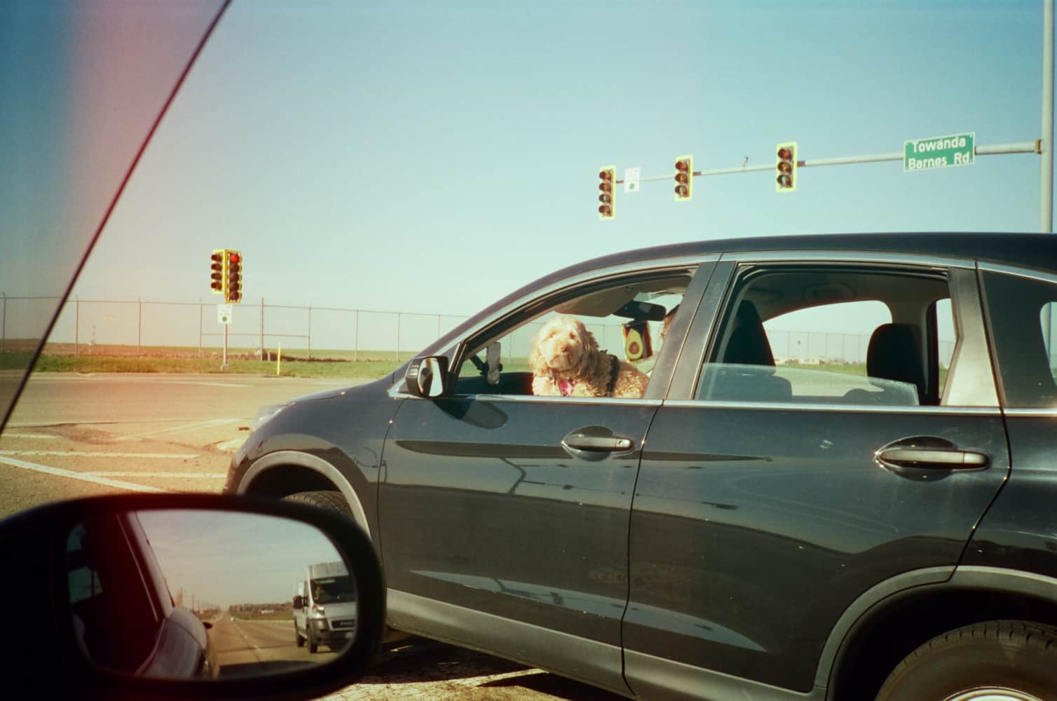 film/0016-0003104800/000310480011_u7ggnq