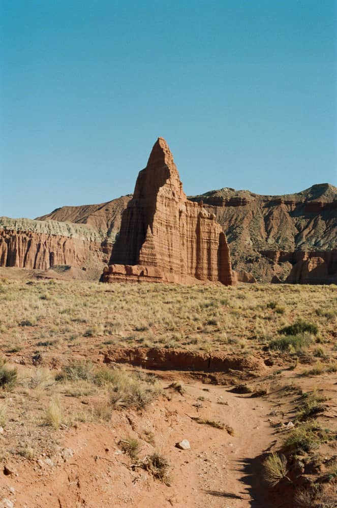 film/0017-0003104700/000310470006_iymf1d