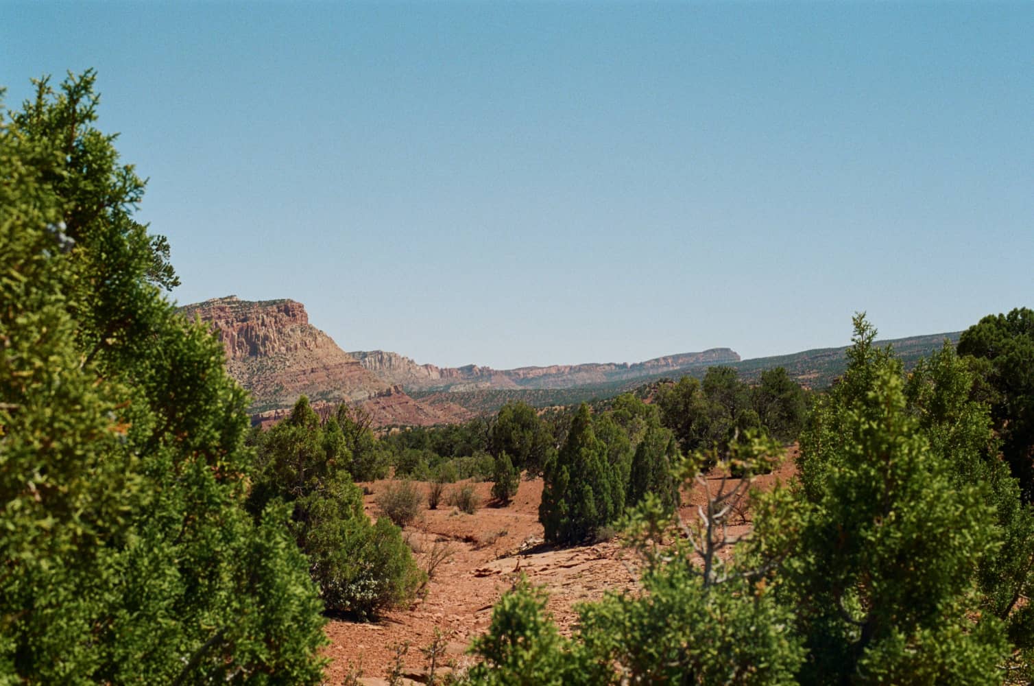 film/0017-0003104700/000310470010_xco7of