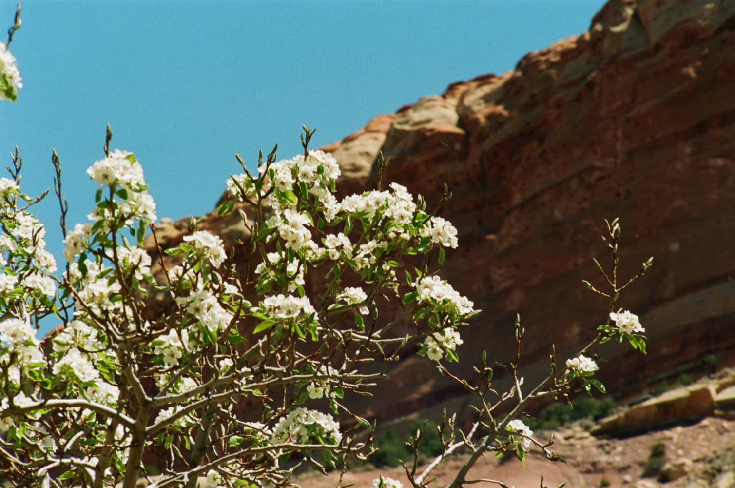 film/0017-0003104700/000310470012_vqvjrh