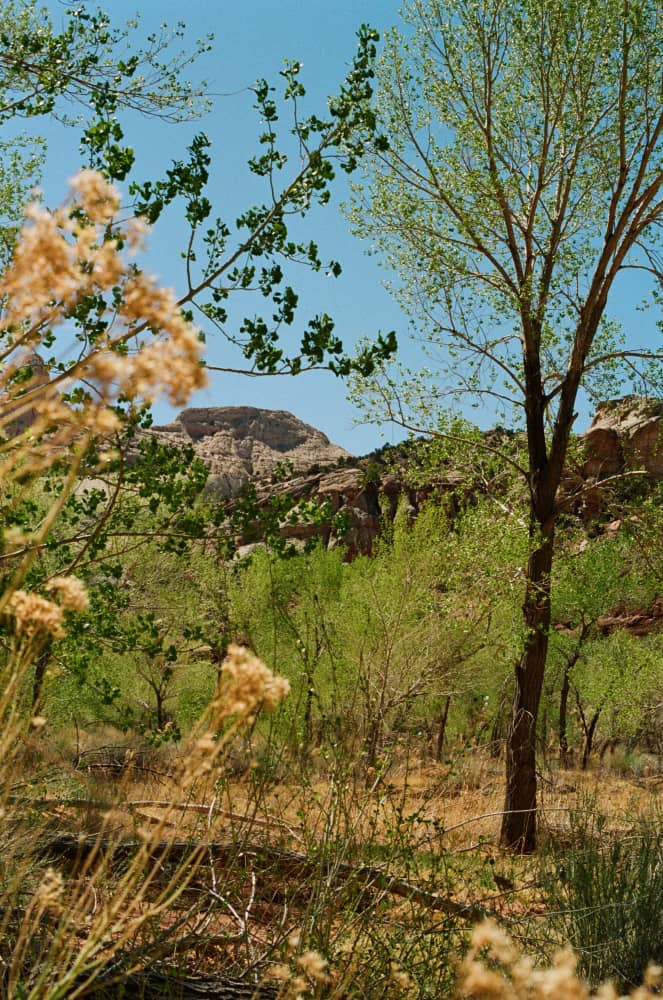 film/0017-0003104700/000310470022_vwyiak