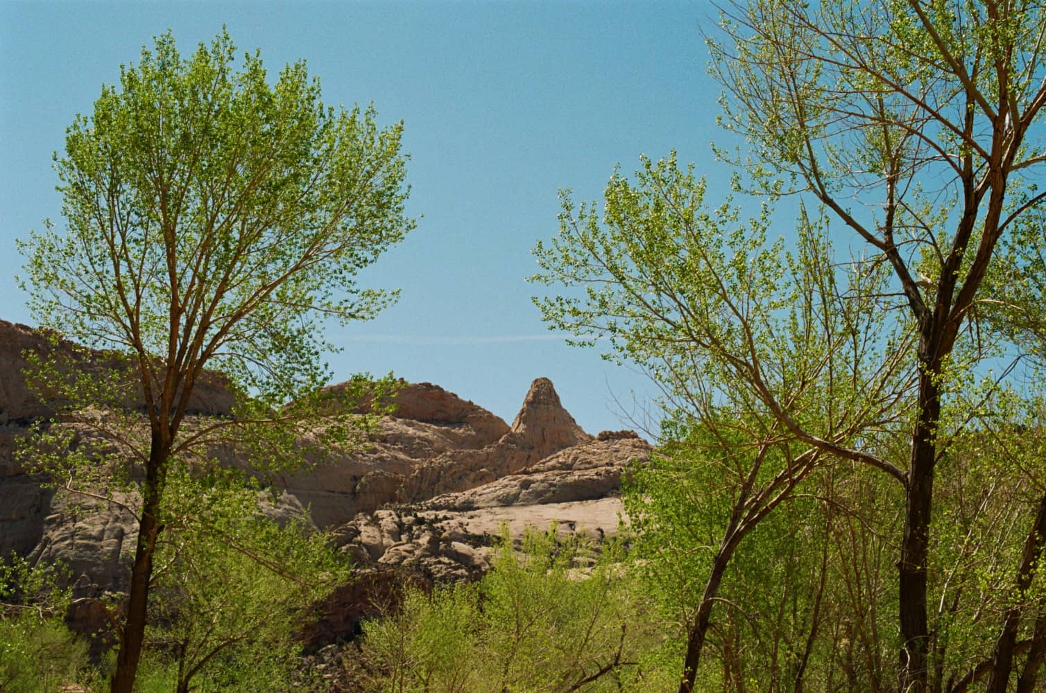 film/0017-0003104700/000310470023_krxohr