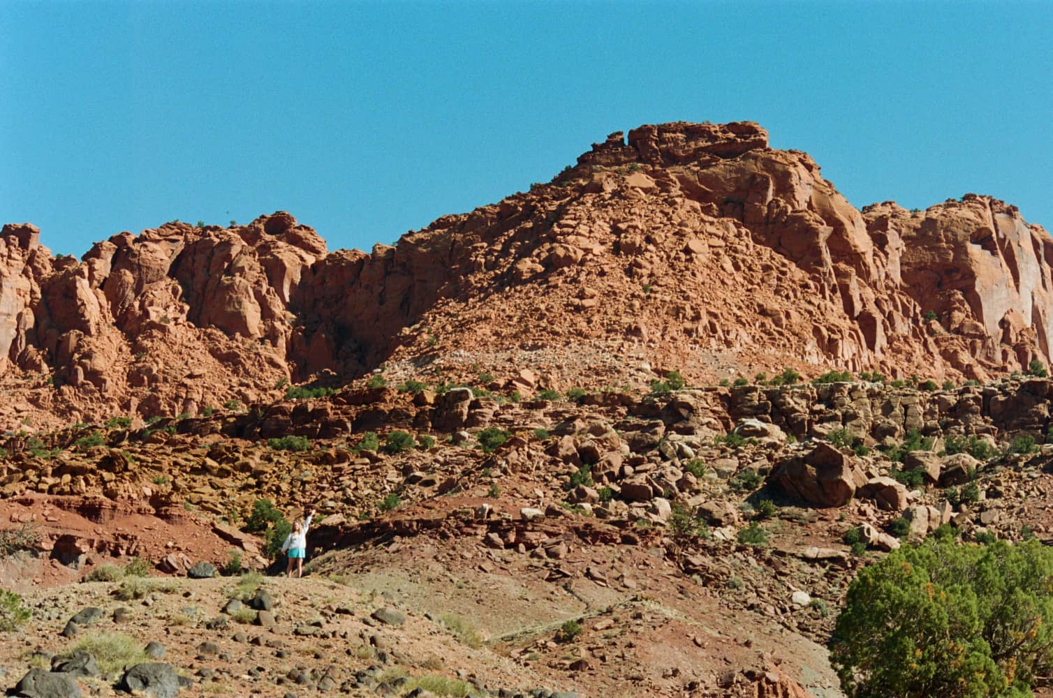 film/0017-0003104700/000310470029_zpxijy