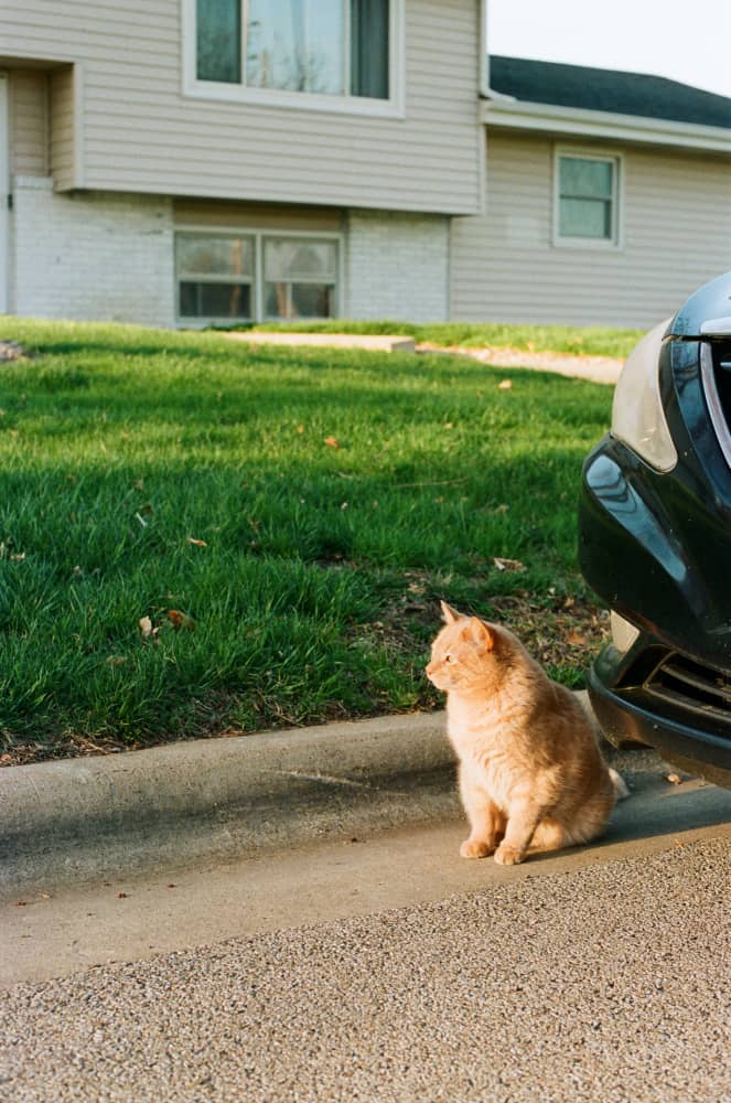 film/0017-0003104700/000310470037_dlm8od