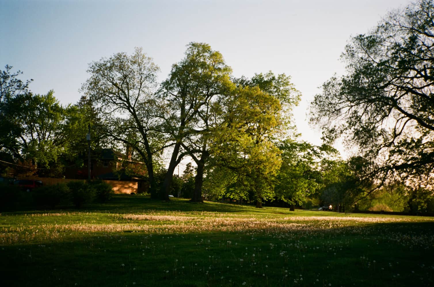 film/0019-0003265200/000326520031_pohb3z